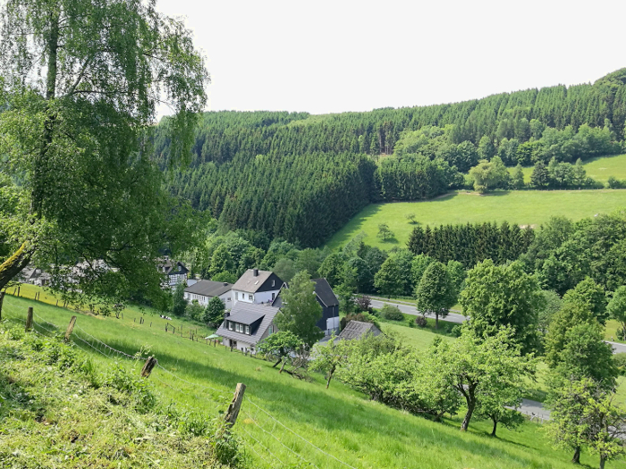 Hollenmarsch Bödefeld Sauerland 2018
