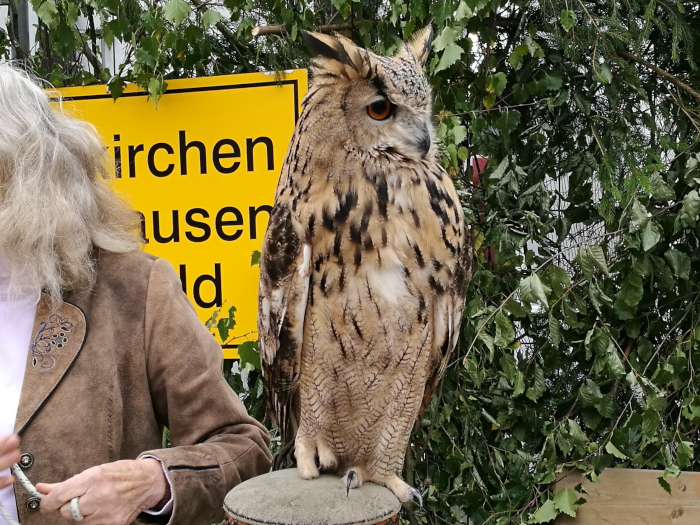 Schmallenberger Woche Blog Sauerland