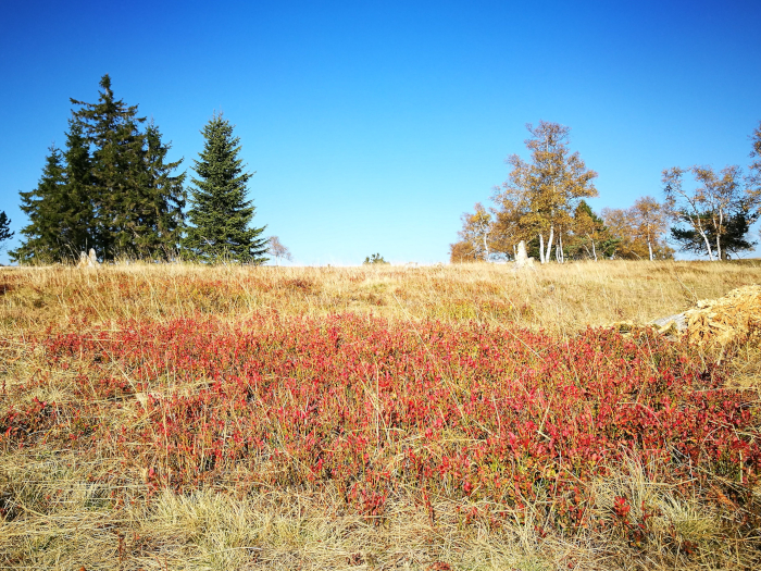 Blog Sauerland Kahler Asten Herbst